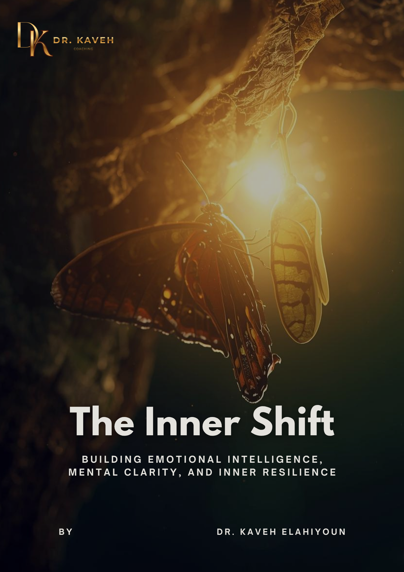 THE INNER SHIFT